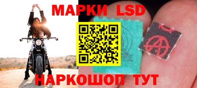 Альфа ПВП Кингисепп