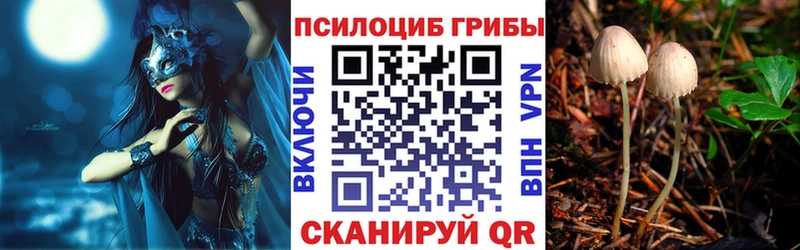 МЕГА зеркало  Фрязино  Галлюциногенные грибы GOLDEN TEACHER  где купить наркоту 