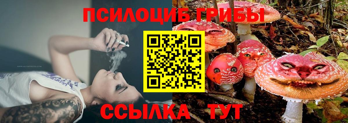 Фрязино  Галлюциногенные грибы мухоморы  Вход с VPN  Псилоцибиновые грибы прущие грибы 