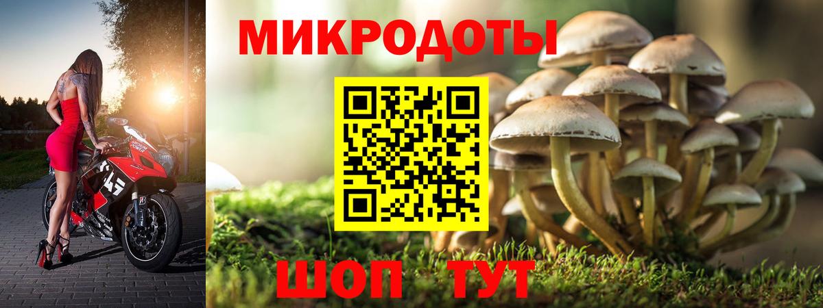 Галлюциногенные грибы Cubensis Фрязино