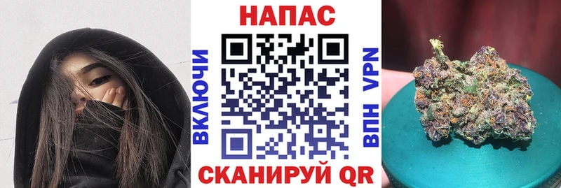 Каннабис планчик  как найти закладки  Фрязино 